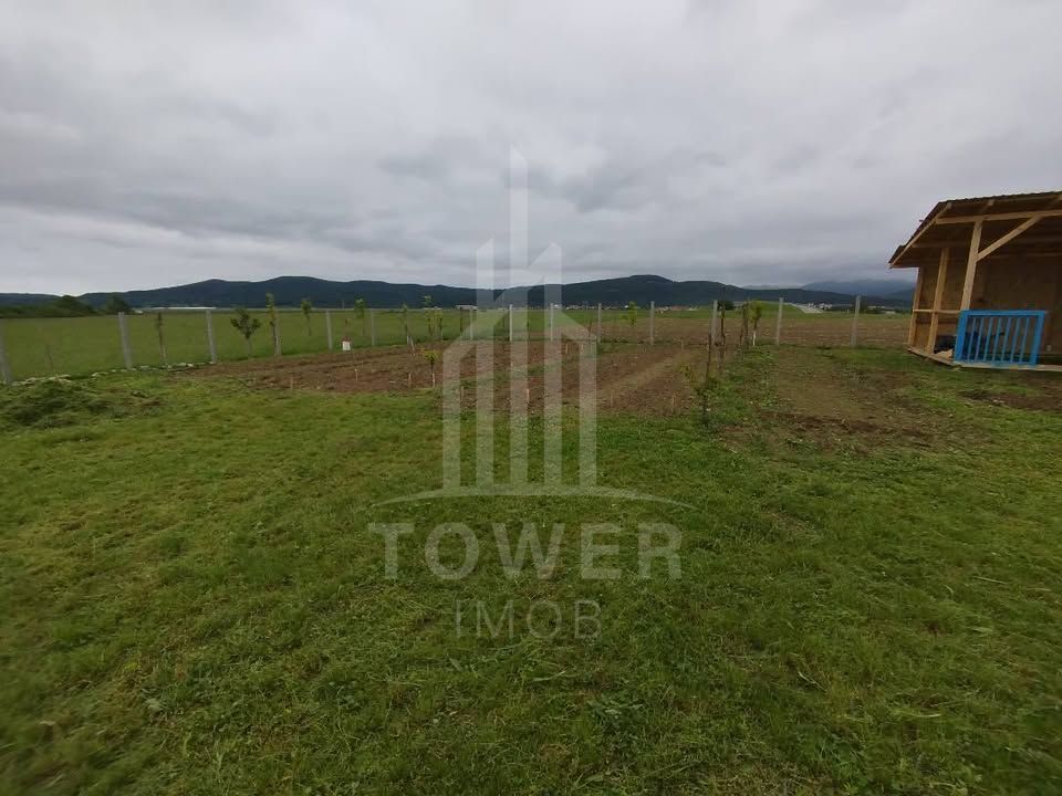 Grădină 862 mp cu cabanuta și pomi fructiferi – între Tălmaciu și Sadu - Poză 5