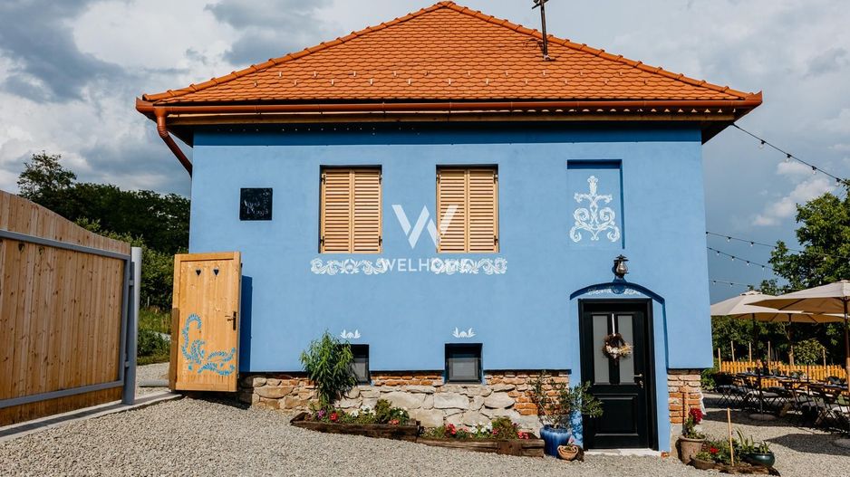 Casa traditionala frumos amenajata - Pensiune - Colun - Sibiu - Poză 10