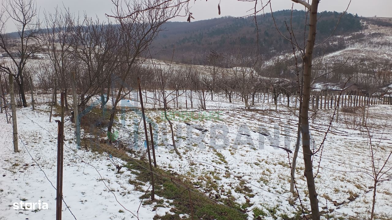 Teren intravilan 704 mp, acces asfaltat, priveliste Padurea Breazu - Poză 12