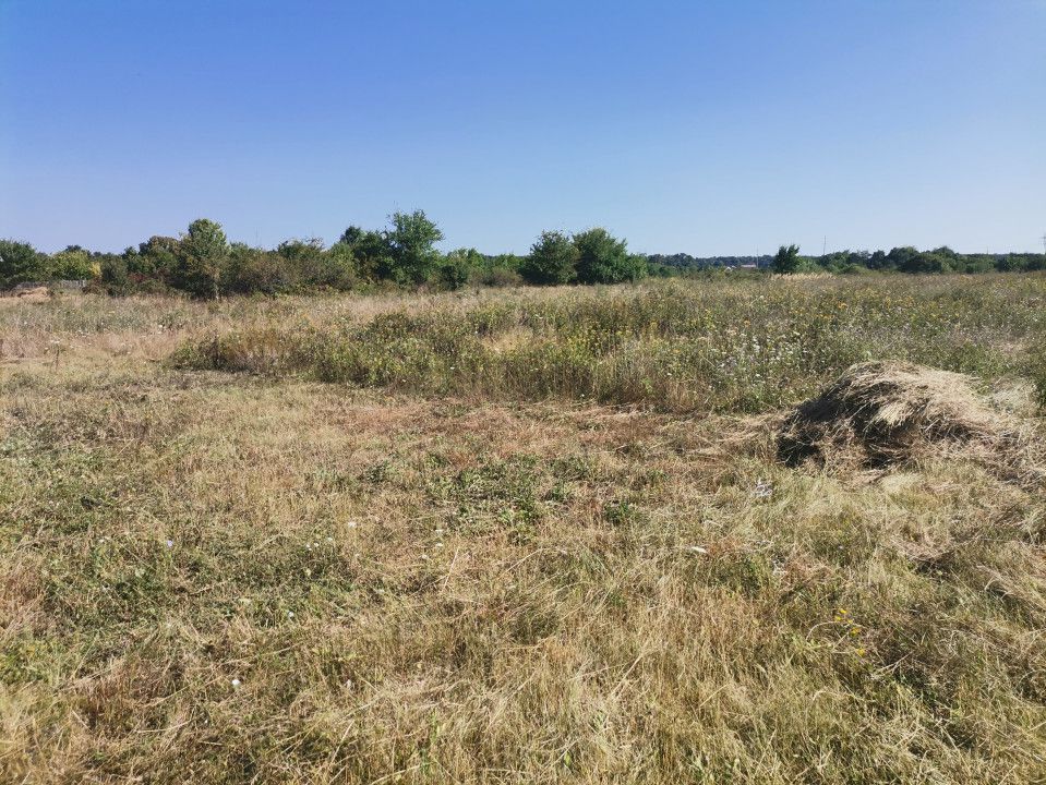 Vanzare teren Smeura cu AC si casa in constructie - Poză 6