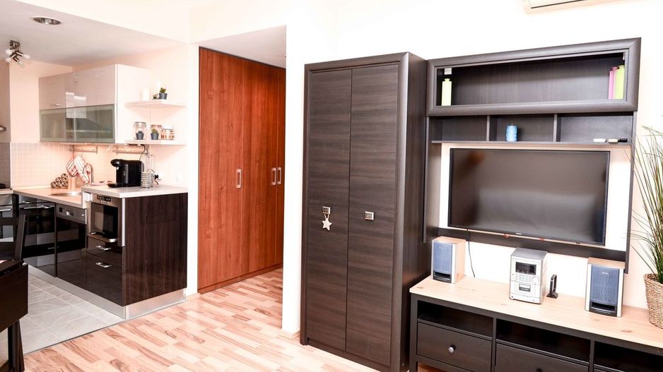 AP.2 CAMERE- ROSE GARDEN, PET-FRIENDLY, PARCARE, MASINA DE SPALAT VASE - Poză 5