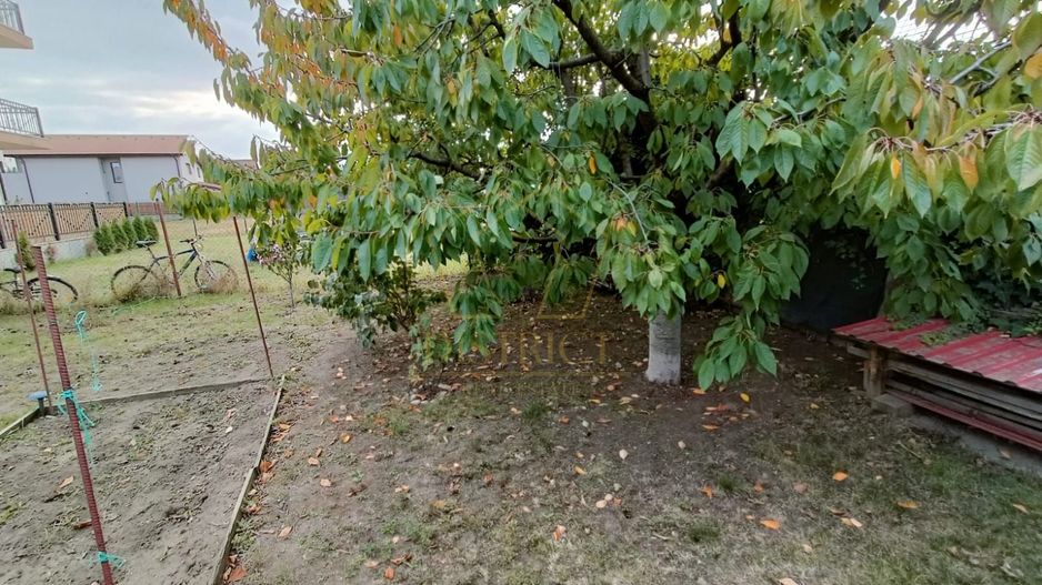 Casă 4 camere de închiriat | Curte mare | Dumbrăvița - Poză 29