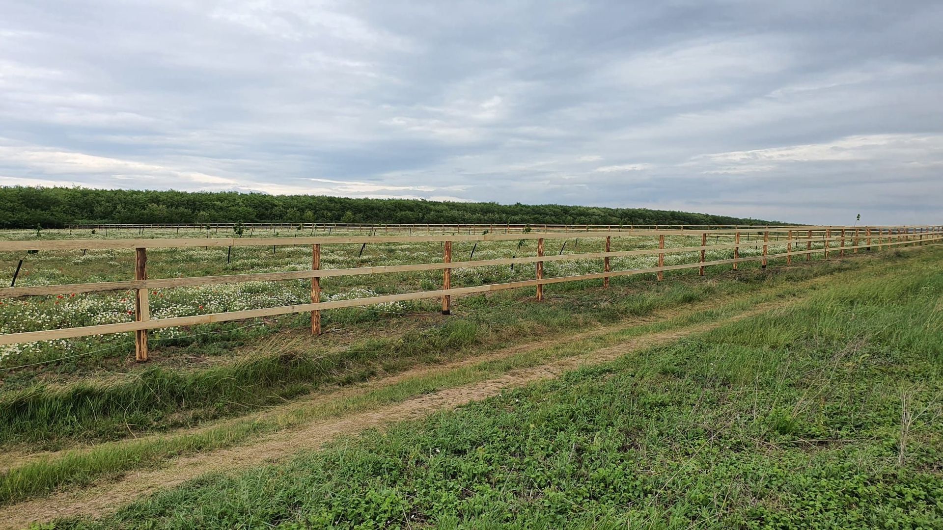 Teren (livada) destinatii multiple, imprejmuit, zona super - Poză 4