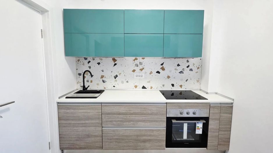 AP. 2 CAMERE TEIUL DOAMNEI, PRIMA INCHIRIERE, PET-FRIENDLY, CENTRALA - Poză 7