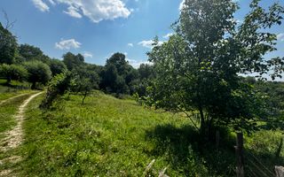 TEREN INTRAVILAN 2146 MP, ALBESTII DE MUSCEL, ARGES - Poză 4