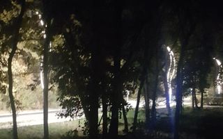 Teren Generos/ Locatie Premium - Poză 3