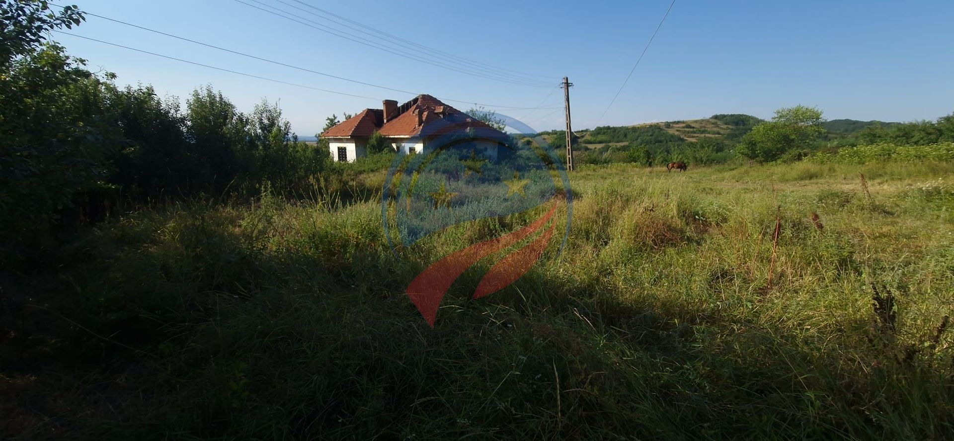 Teren  8 227 mp + Casa demolabila de vanzare in Filiasi -  Fratostita Dolj - Poză 8