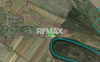 Proiect Agropensiune cu panoramă spre Nistru | Teren 1.2 ha | Doroțcaia - Poză 16