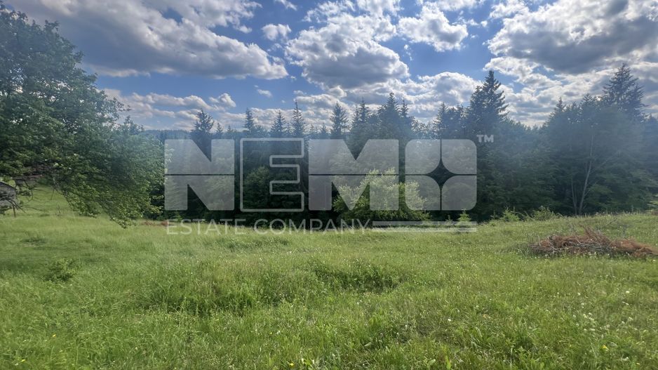 Teren Intravilan | Brodina de Jos | 16900 MP - Poză 6