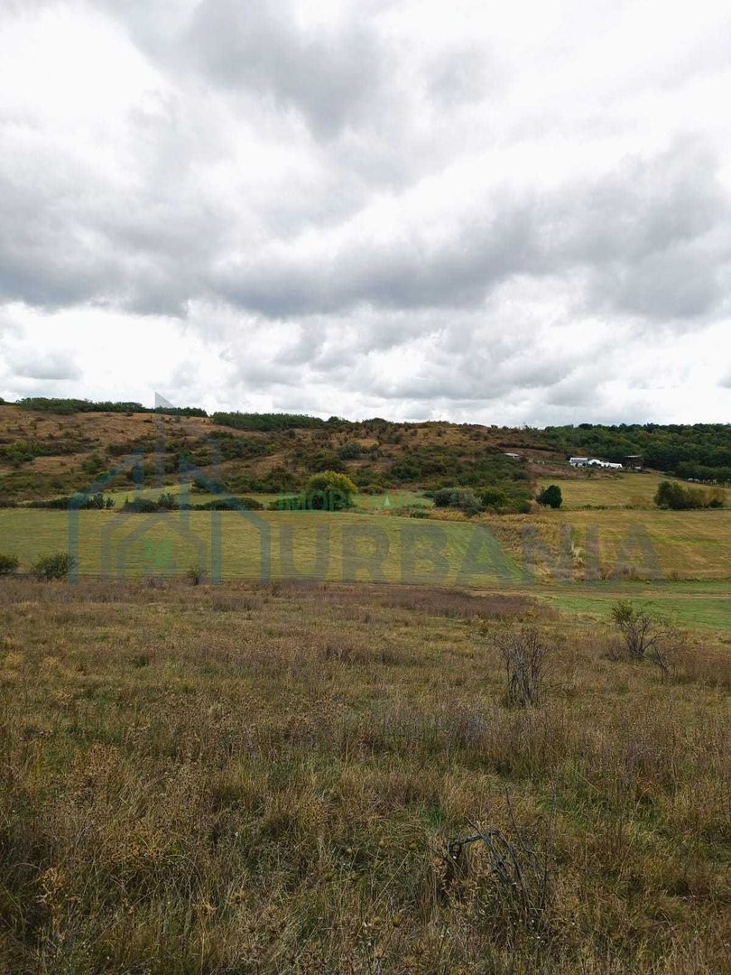 Teren 3,3 ha pentru viață la natură – livadă, liniște, Strunga Iași - Poză 5