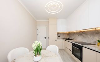 Vânzare, apartament, 1 cameră, str. Burebista, Botanica - Poză 3