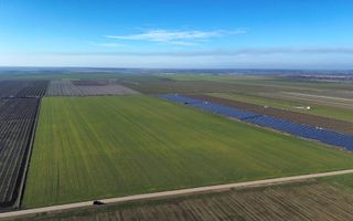 Vând teren extravilan – 11 ha, sat Valter Mărăcineanu, jud Giurgiu - Poză 4