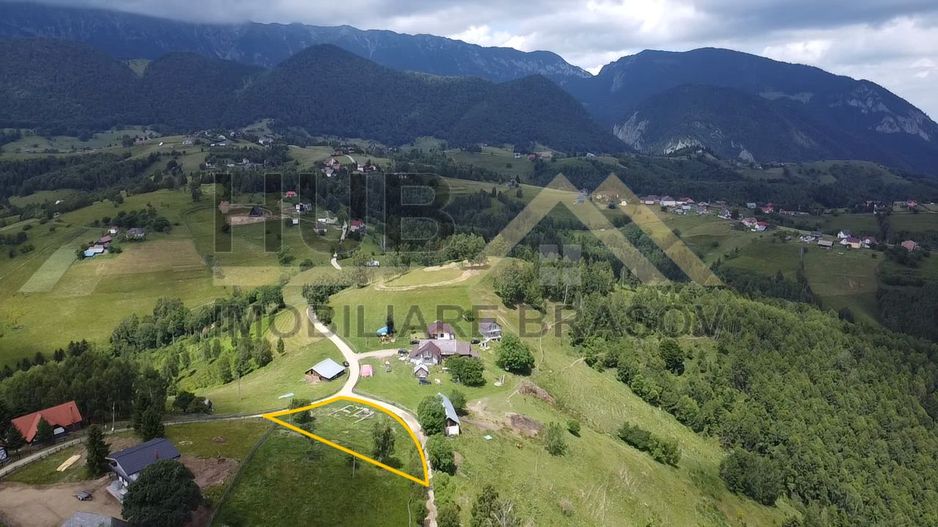 Oportunitate Investitie | Teren Pestera | 4.807mp | Utilitati Gaz/Curent - Poză 8