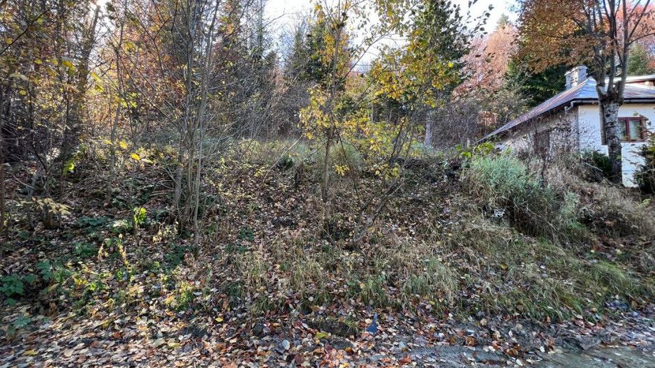 Teren 500 metri - central Sinaia - ideal constructii (COMISION ZERO) - Poză 2