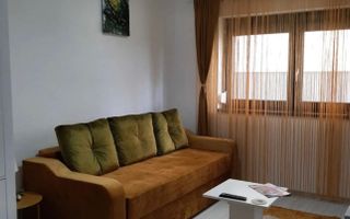 Apartament 2 Camere | Curte | Doamna Stanca - Poză 4