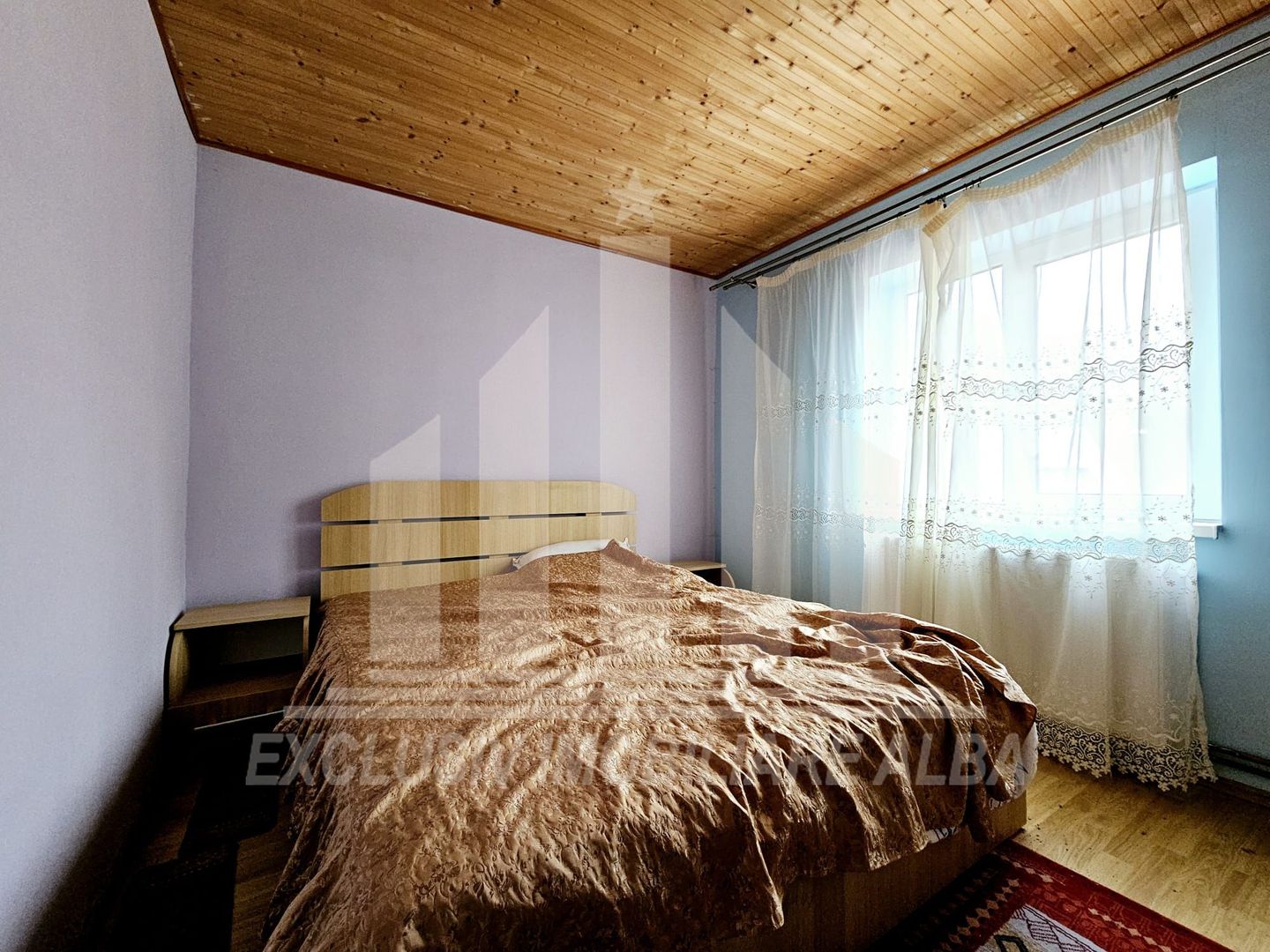 Casa de vacanta cu potential de Pensiune Turistica, Ramet - Poză 11