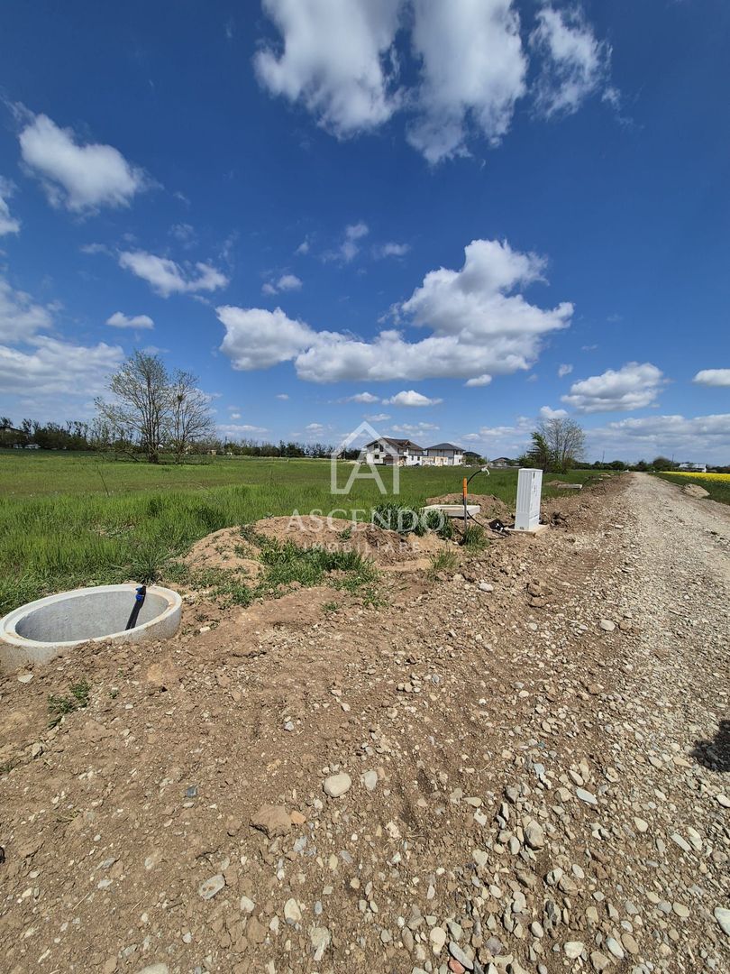 Teren intravilan 704 mp – Siliștea Snagovului | Lângă Pădurea Snagov - Poză 7