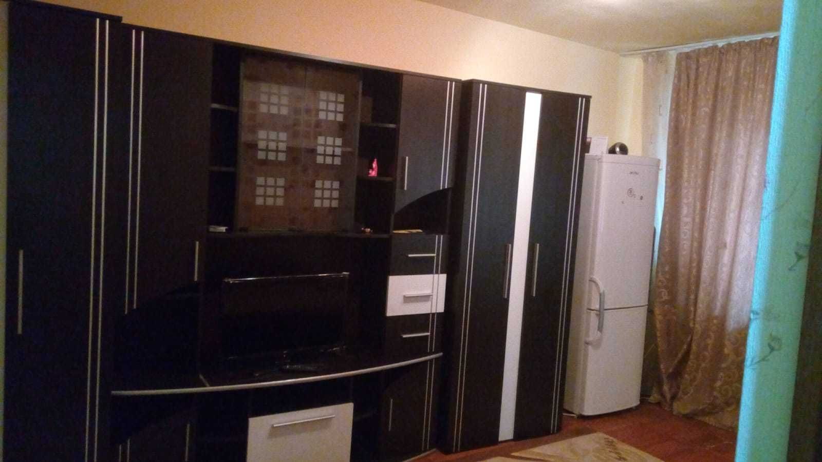 Calea Buziașului | 1 Camera | Bucatarie inchisa | Mobilat si Utilat - Poză 2