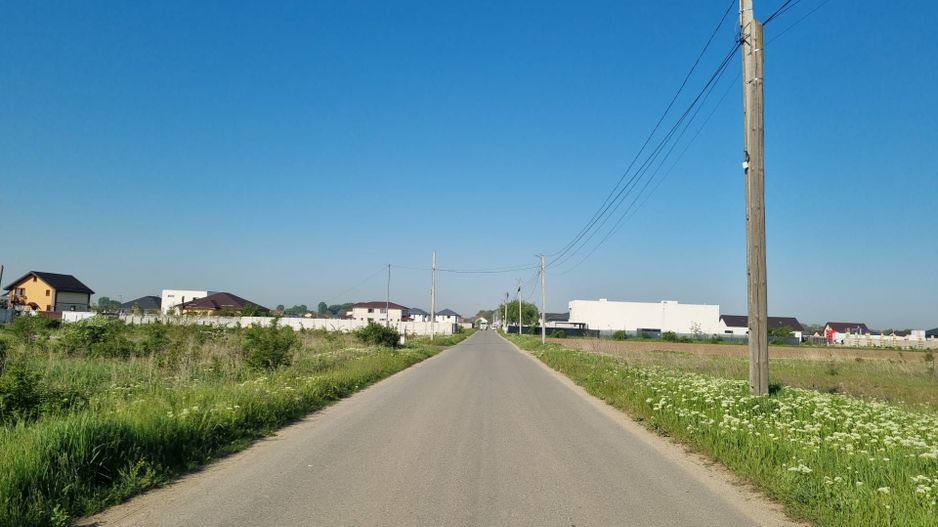 Teren 10.000 mp Clinceni – Deschidere la drum principal | Zonă mixtă - Poză 3