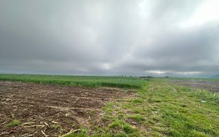 Teren extravilan de vanzare - Gura Raului - Poză 6