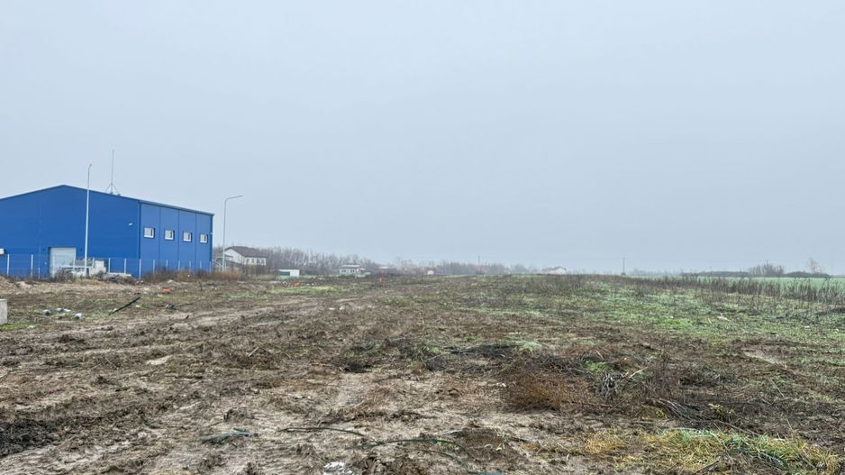 COMISION 0% | Teren Intravilan Covaci | 85 EURO/MP Zona in Dezvoltare - Poză 2