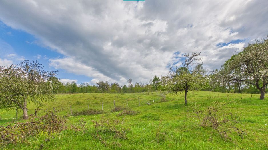 Casă cu teren de 17.681 mp, în loc. Hălmăgel, Arad - Poză 12
