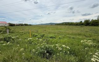 Teren intravilan 58 ari , de vanzare - Dej - Poză 3