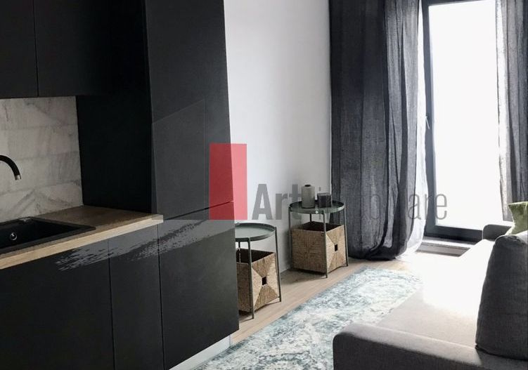 Apartament 2 camere de închiriat, Novum Politehnica-Grozavesti - Poză 5