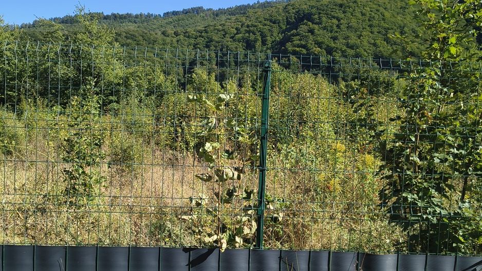 Vand Teren intravilan - Poză 9
