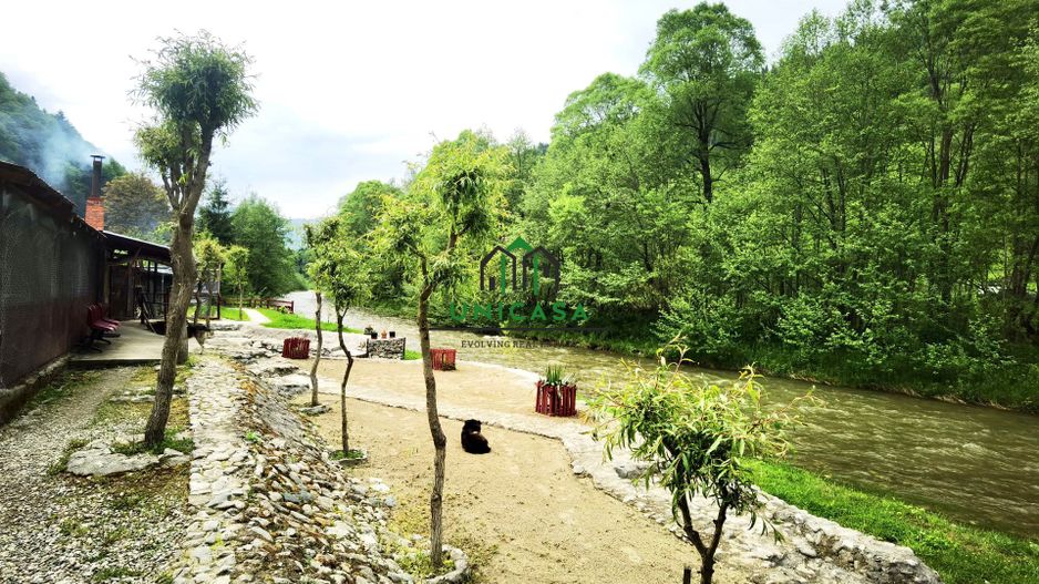 Casa de vacanta / Pensiune / Voineasa - Poză 11