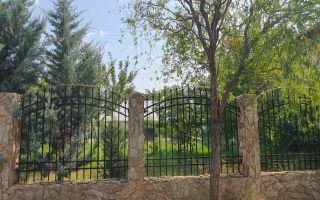 De vanzare teren 562mp + foisor si beci, Bragadiru - Poză 4