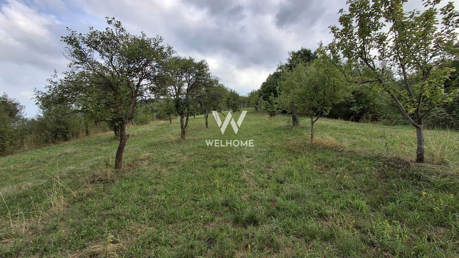 De vânzare teren extravilan în Sibiel, jud. Sibiu – 3223 mp - Poză 1