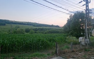 Teren intravilan 36 ari | Viile Teci | Strada Principală - Poză 6