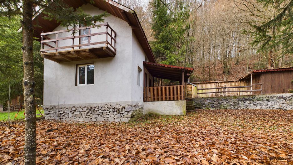 Casă de vacanța în Rădești jud.Arad - Poză 1