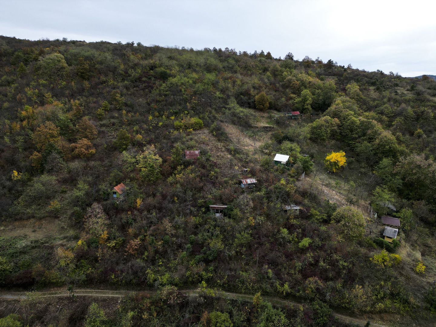 Teren 18,300mp Ghioroc - Poză 12