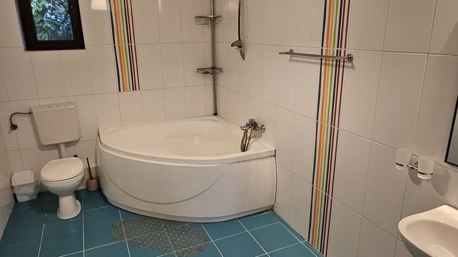 Vila 8 camere Dascalu - Poză 21