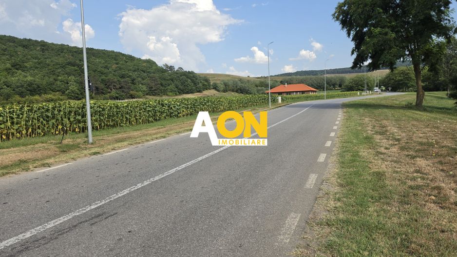 Teren intravilan, 2800 mp, la asfalt,cu utilitati, Hapria, com. Ciugud - Poză 2