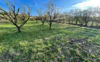 Tren Soporului Intravilan ,5500 MP Utilitati,  Oportunitate - Poză 3