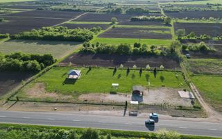 Închiriere platformă teren 4.000 mp Curtici - Poză 11