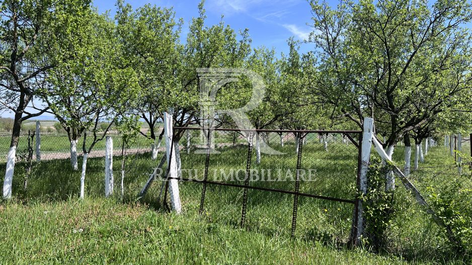 Casă de vacanță + livadă | teren 3000 mp | Chijic | Bihor - Poză 14