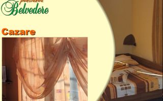 VILA - PENSIUNE CU RESTAURANT + SI TEREN 6406 MP, VALEA MARE PRAVAT, - Poză 5