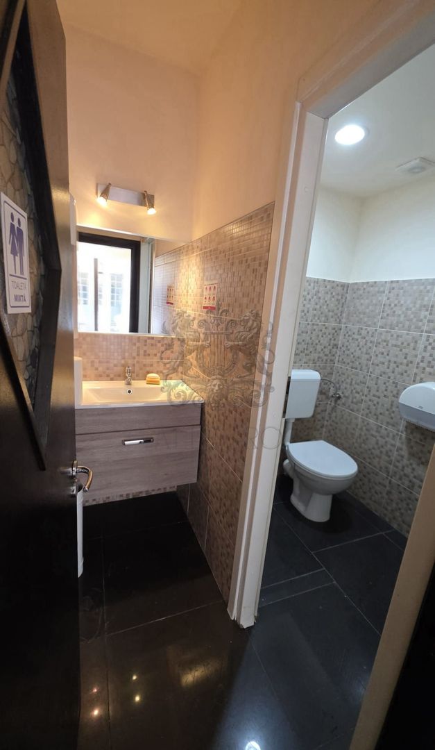 Dorobanti | Vila Individuala | 7 camere | Terasa - Poză 13