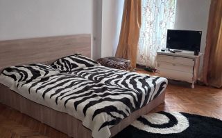 Apartament 3 camere zona Traian - Poză 8