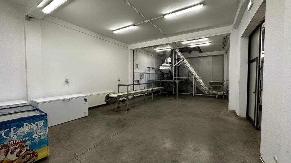 Complex industrial și logistic – aprox. 1.520 mp – spații frigorifice, - Poză 3