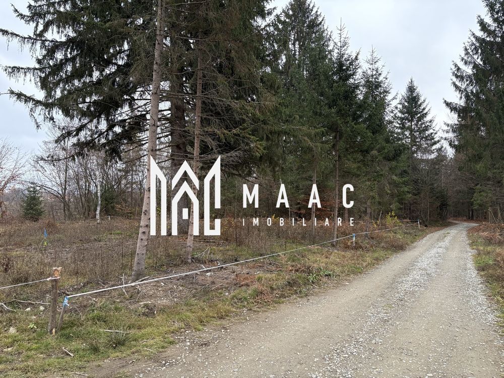 Teren intravilan | 2.000 mp |  Valea Avrigului - Poză 2