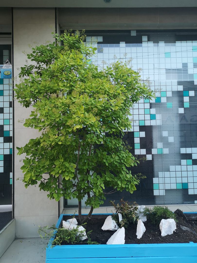 Cladire ultramoderna de birouri I 1.350mp I Ultracentral I COMISION 0% - Poză 38