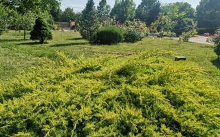 Vilă de lux mobilata/utilata cu terasa+foisor, garaj,gradina si livada - Poză 13