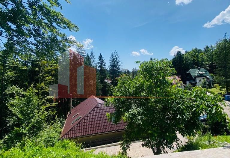 Vila Sinaia - Poză 12