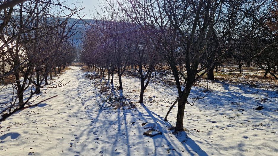 Teren intravilan parcelat Falticeni - Poză 3