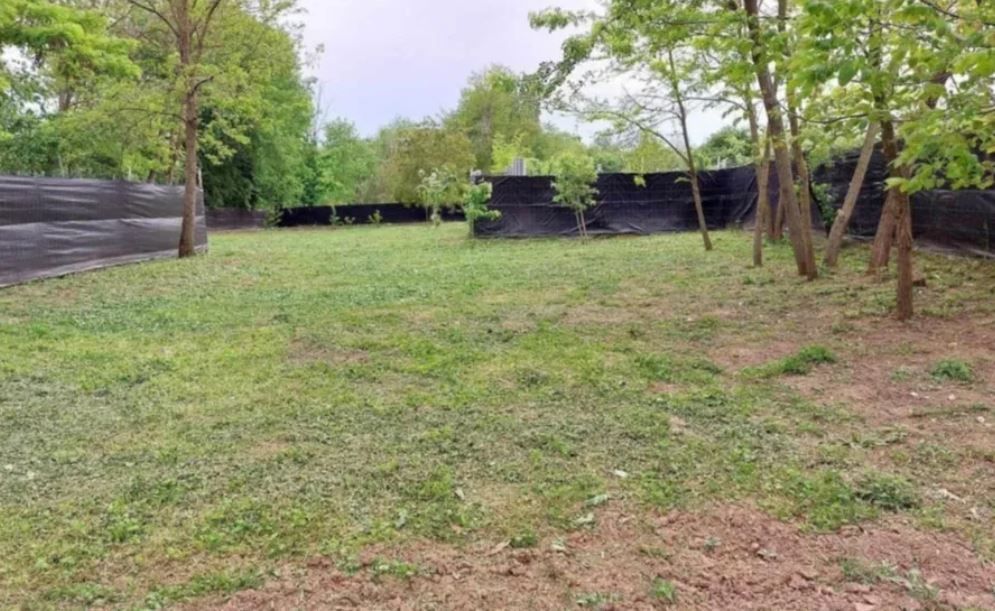 Casa de vanzare Peris | 2 camere | teren 2000mp - Poză 3